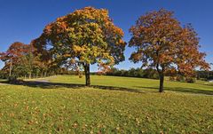 Der Herbst