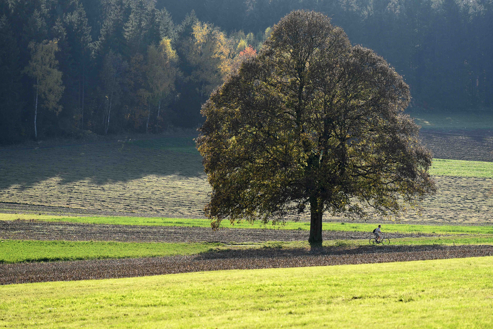 Der Herbst