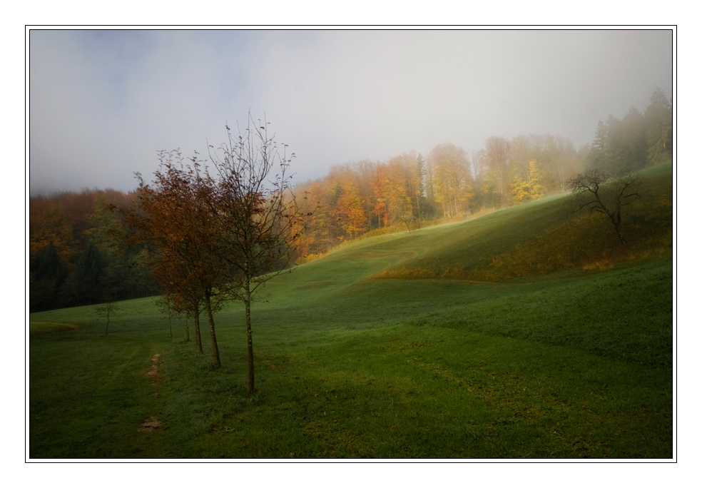 der Herbst