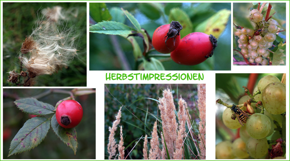 **Der Herbst**