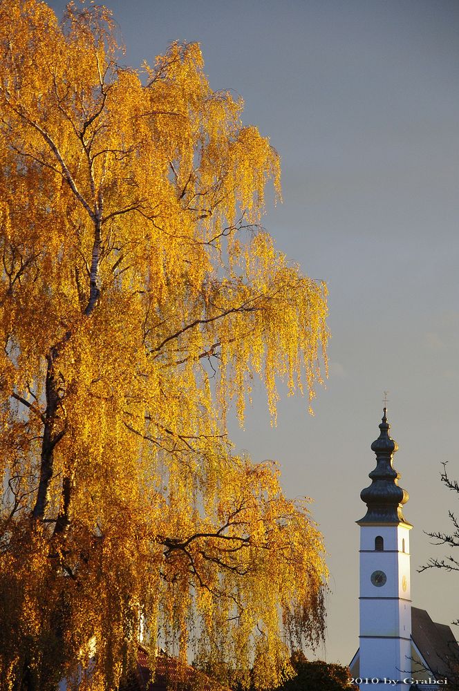 Der Herbst