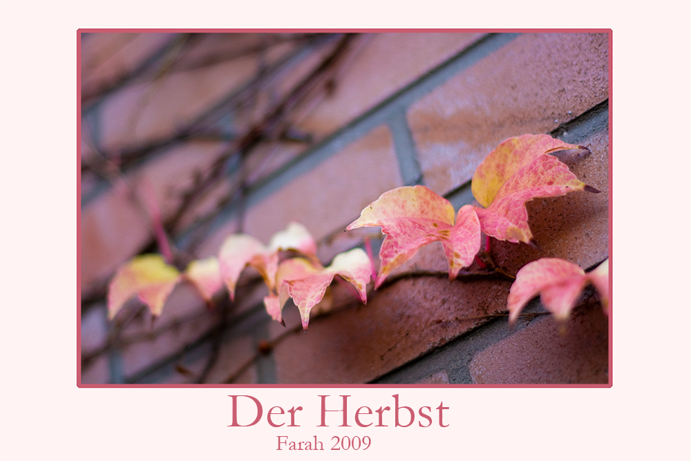 Der Herbst....