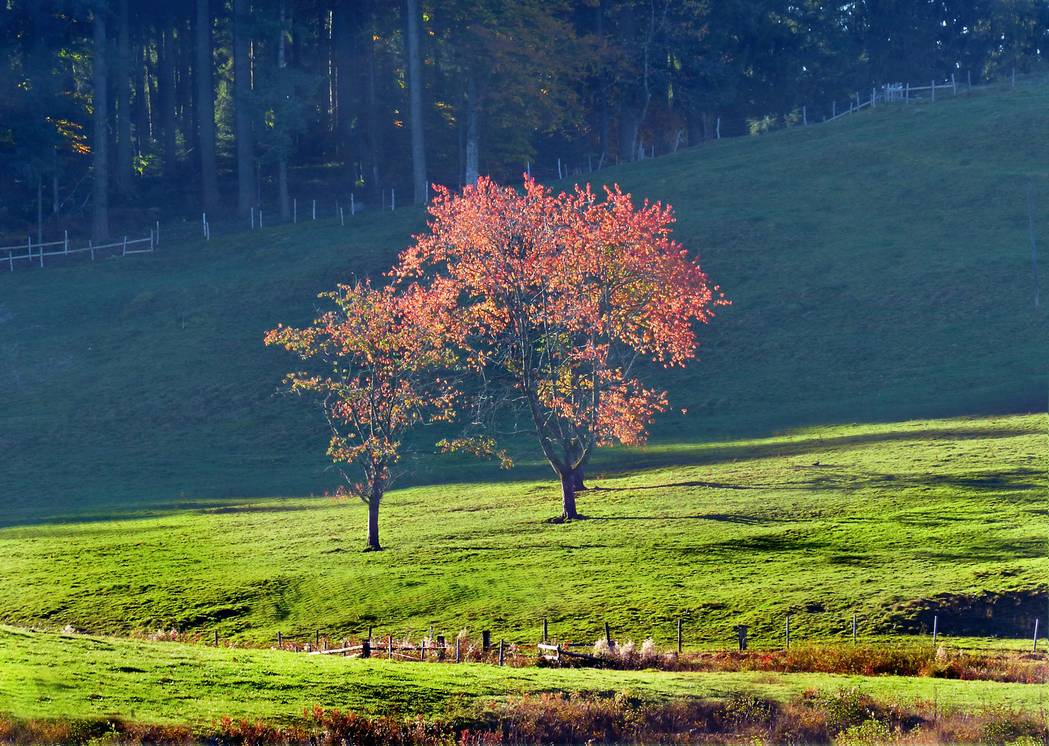 Der Herbst