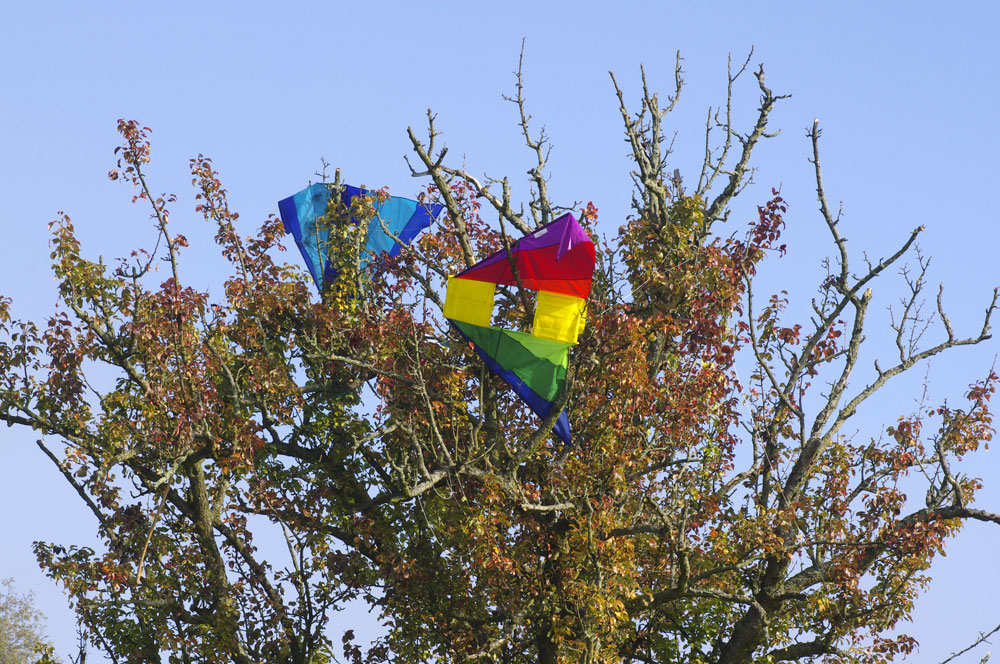 Der Herbst