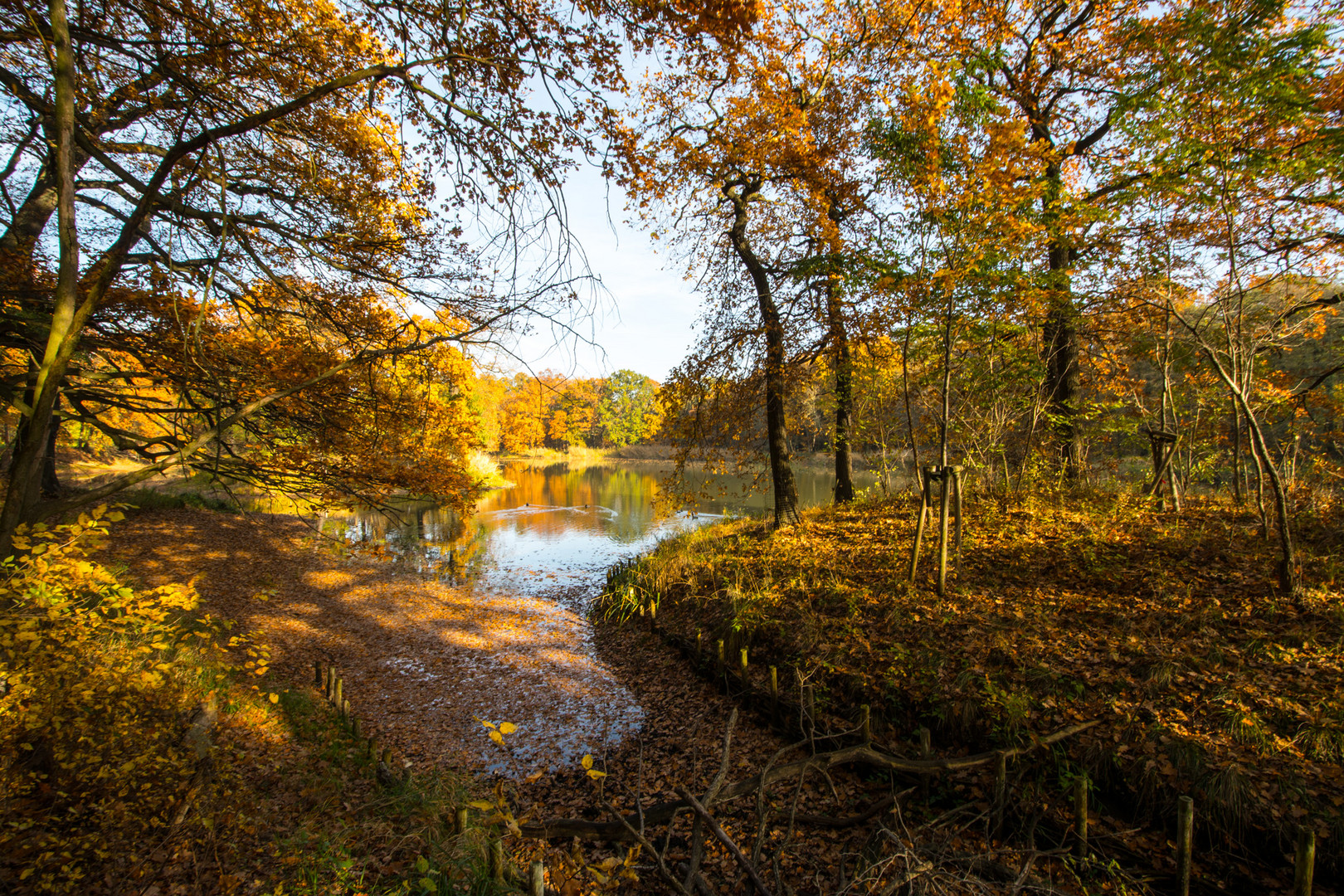 Der Herbst...