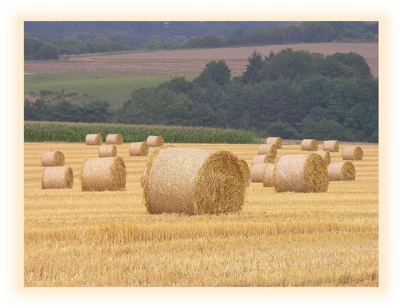 Der Herbst