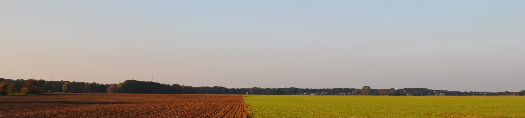 Der Herbst-Acker