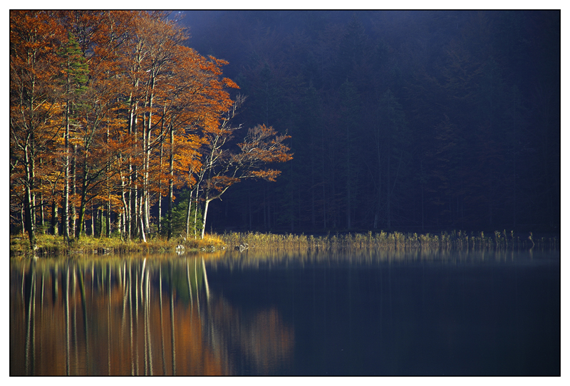 Der Herbst als Maler