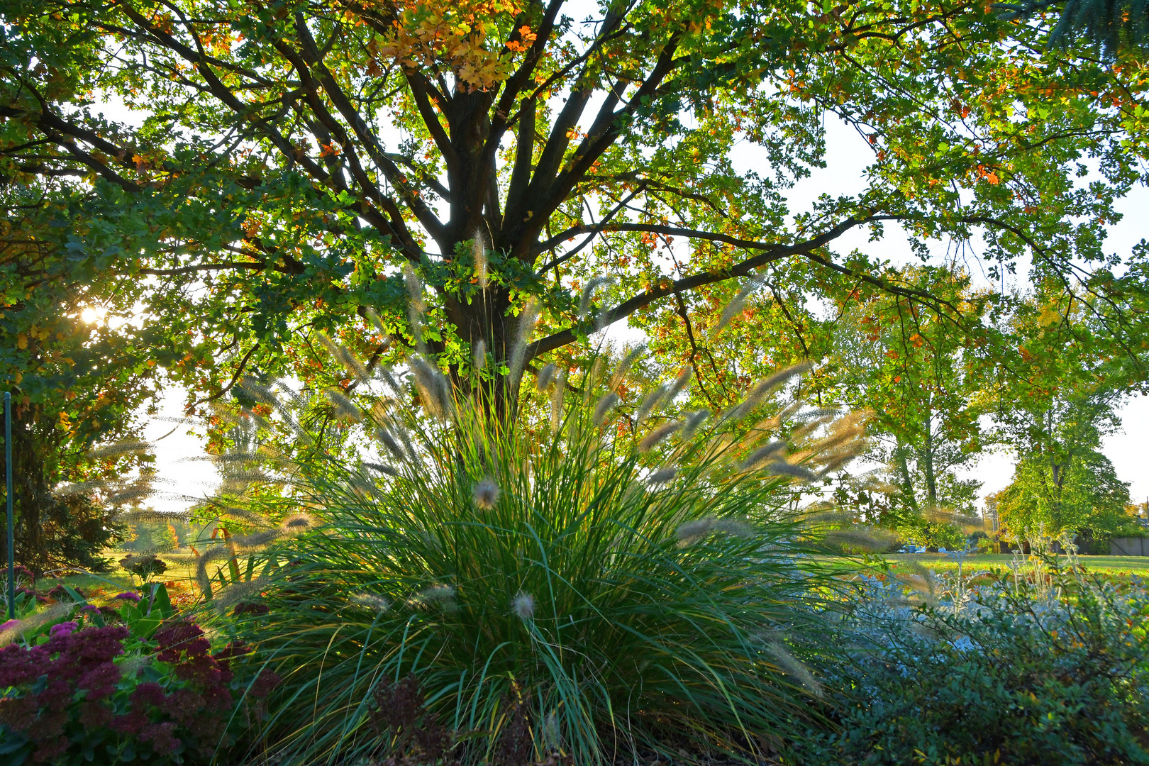 Der Herbst als Maler 