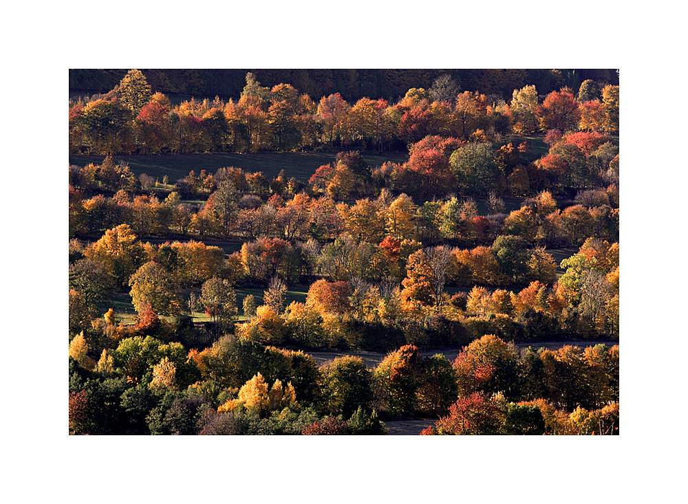 Der Herbst als Maler