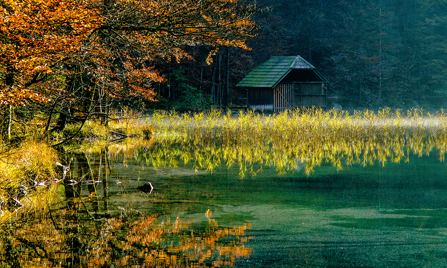 Der Herbst als zweiter Frühling