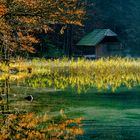 Der Herbst als zweiter Frühling