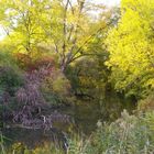 Der Herbst / Alte Leine Laatzen