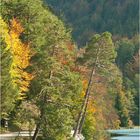 Der Herbst Am Alatsee