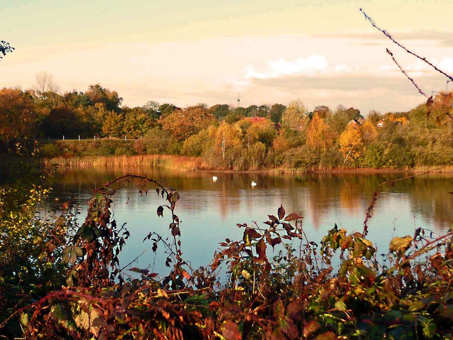 Der Herbst am Angelsee