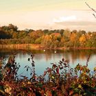 Der Herbst am Angelsee