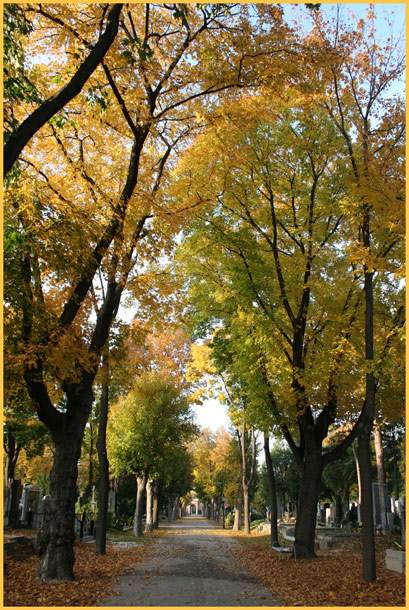 Der Herbst am Friedhof