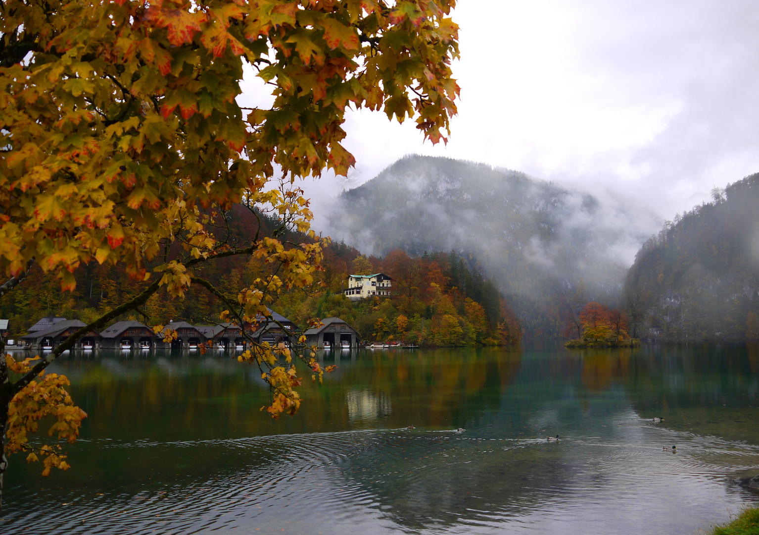 Der Herbst am Königssee 