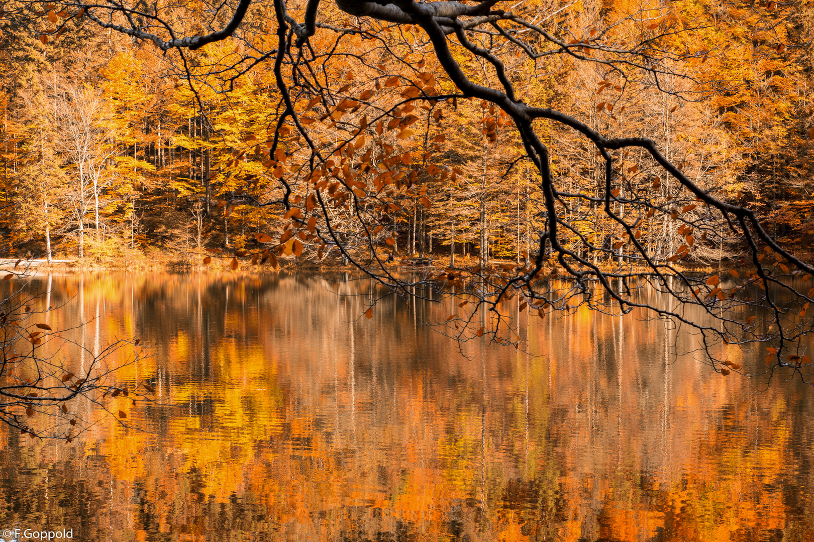 Der Herbst am Langbathsee