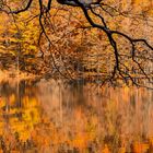 Der Herbst am Langbathsee