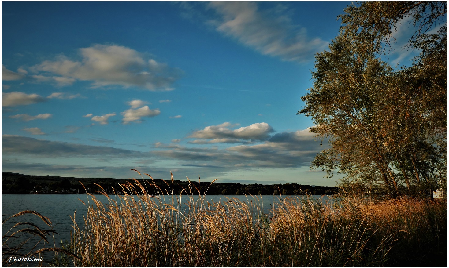 Der Herbst am Rhein (I)