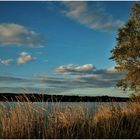 Der Herbst am Rhein (I)