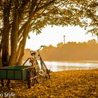 Der Herbst am See