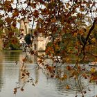 Der Herbst am See