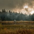 Der Herbst am Teich 