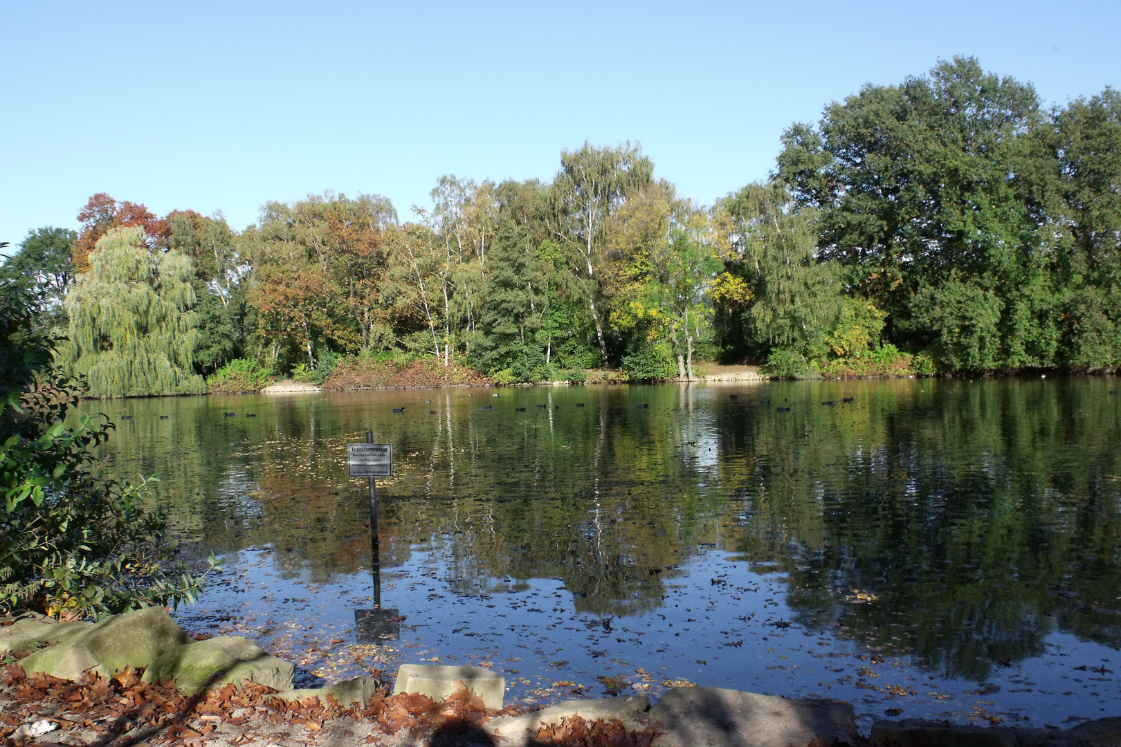 Der Herbst am Teich