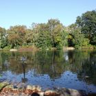 Der Herbst am Teich