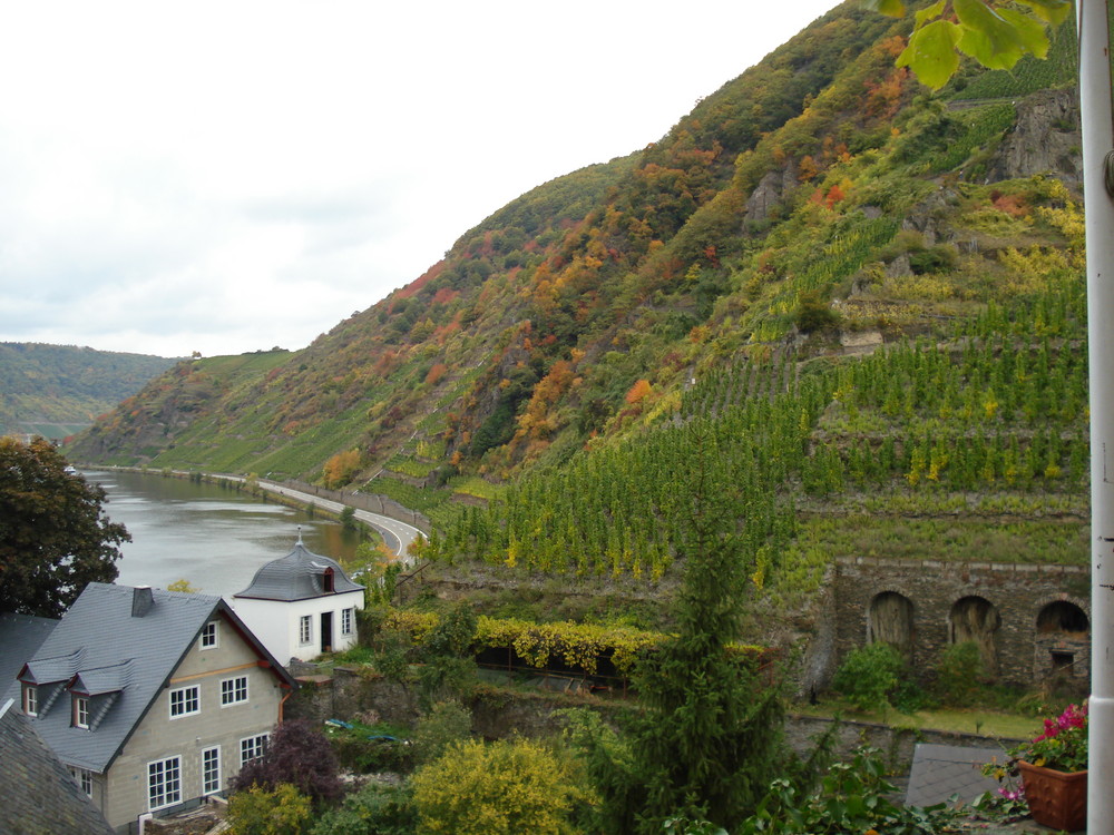 Der Herbst an der Mosel