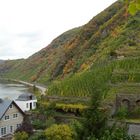 Der Herbst an der Mosel