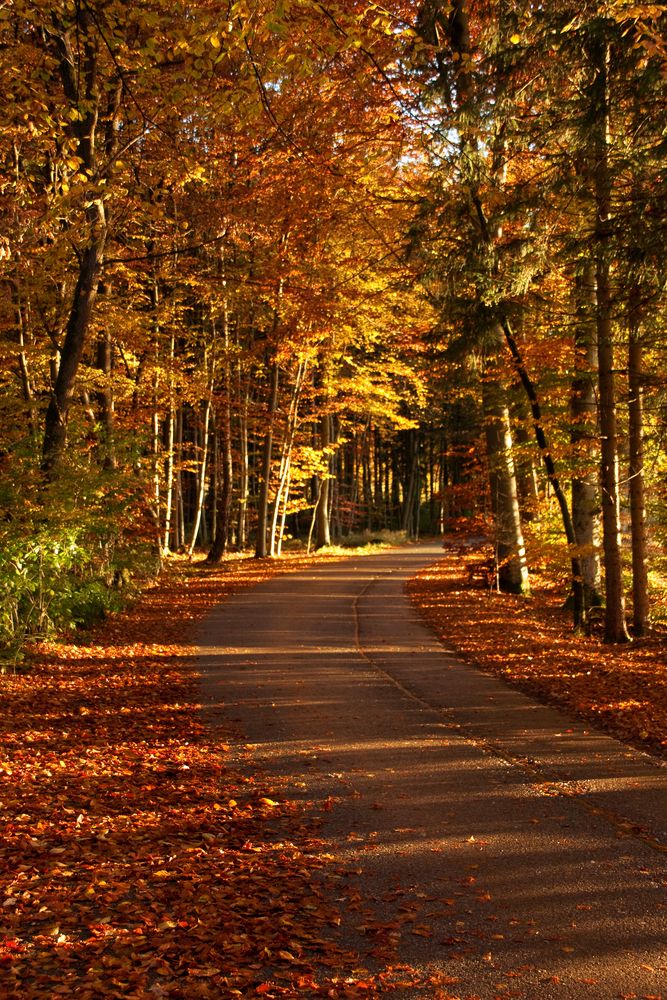 Der Herbst an seinem Höhepunkt