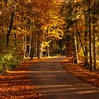 Der Herbst an seinem Höhepunkt