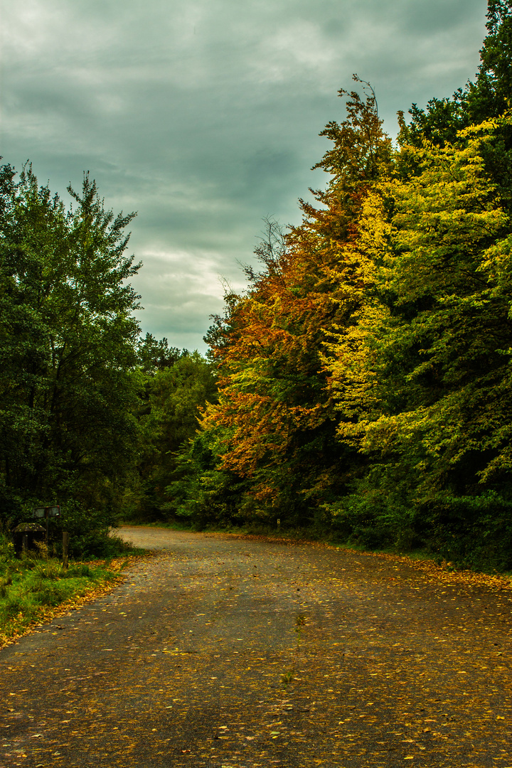 Der Herbst Anfang