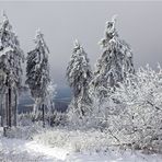 Der Herbst auf dem Hausberg