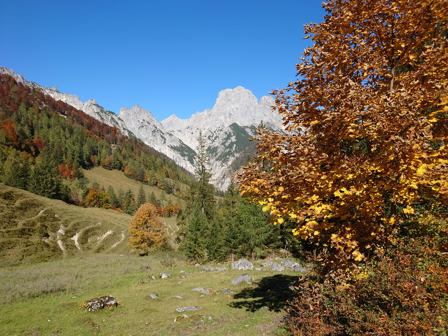 Der Herbst auf der Bindalm