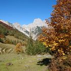 Der Herbst auf der Bindalm