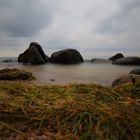 Der Herbst auf der Insel Rügen