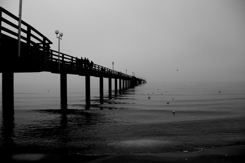 Der Herbst auf Rügen