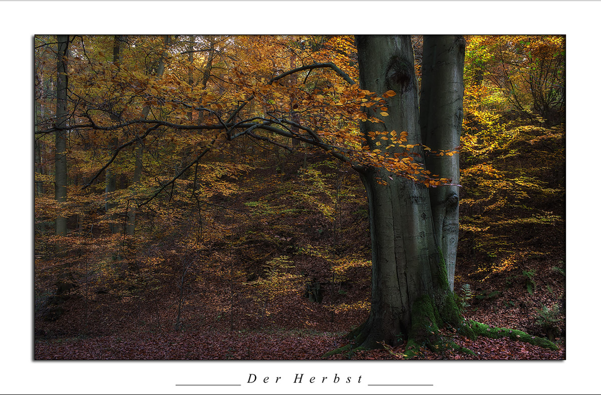 Der Herbst