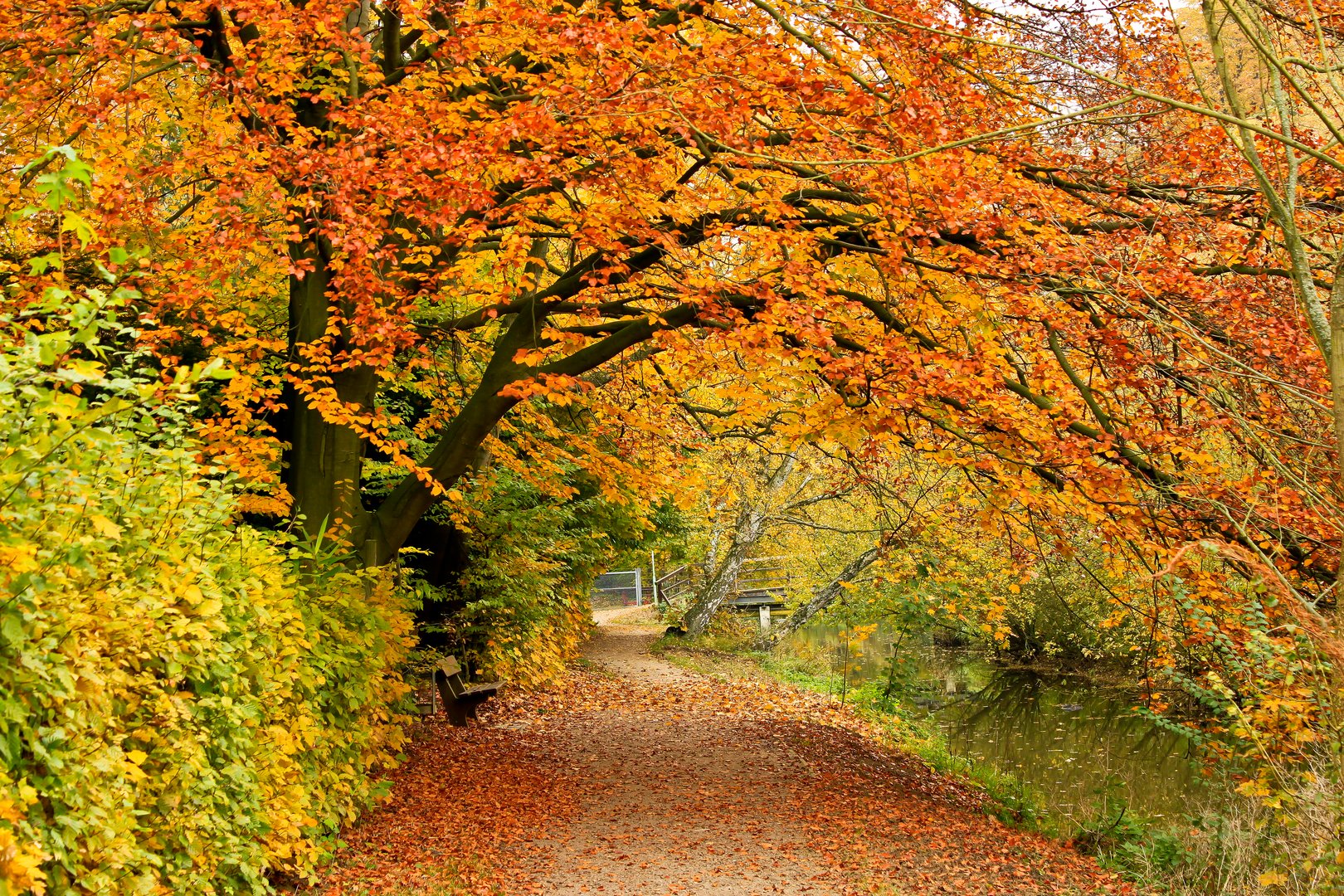 Der Herbst.....