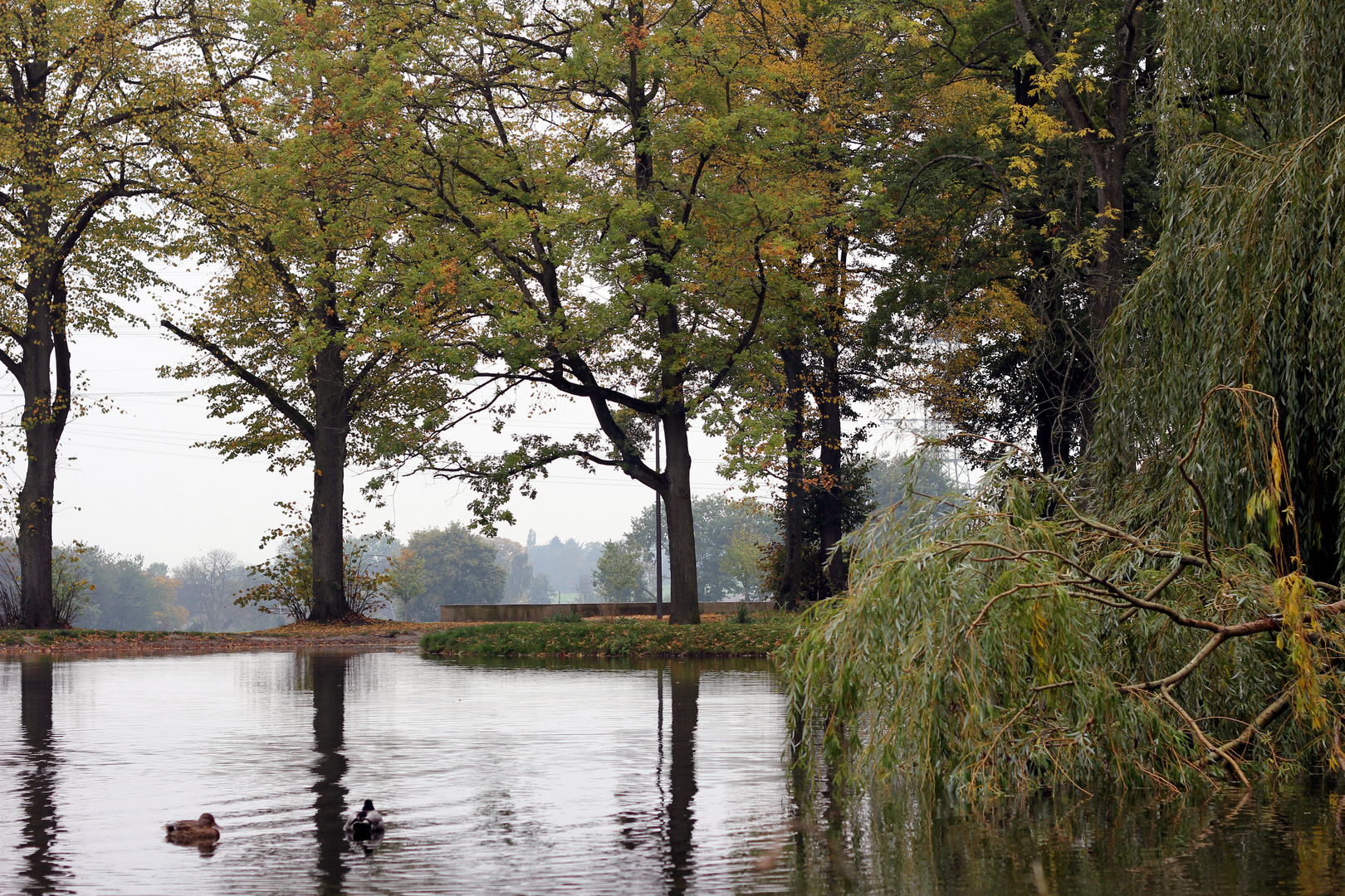 Der Herbst