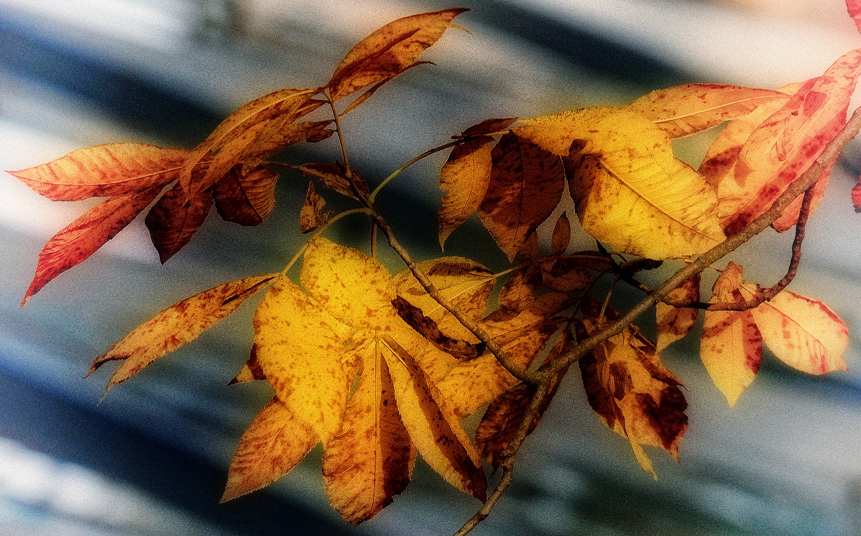 der Herbst