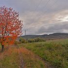 der Herbst beginnt, 2 (el otoño empieza, 2)