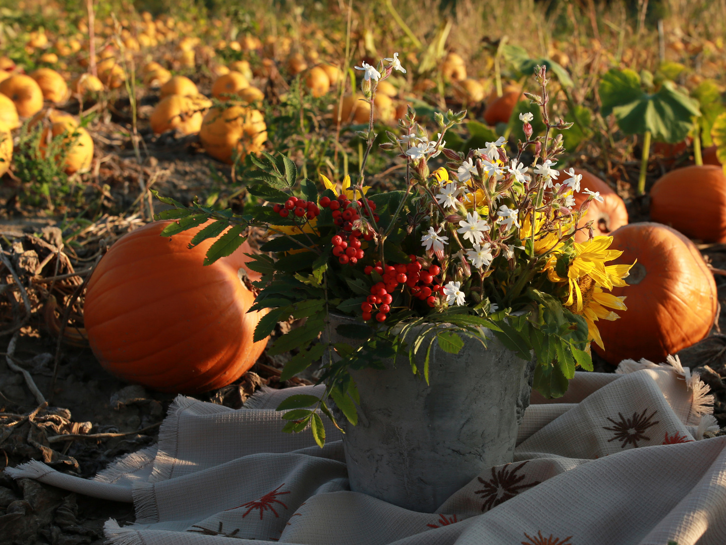 Der Herbst beginnt...