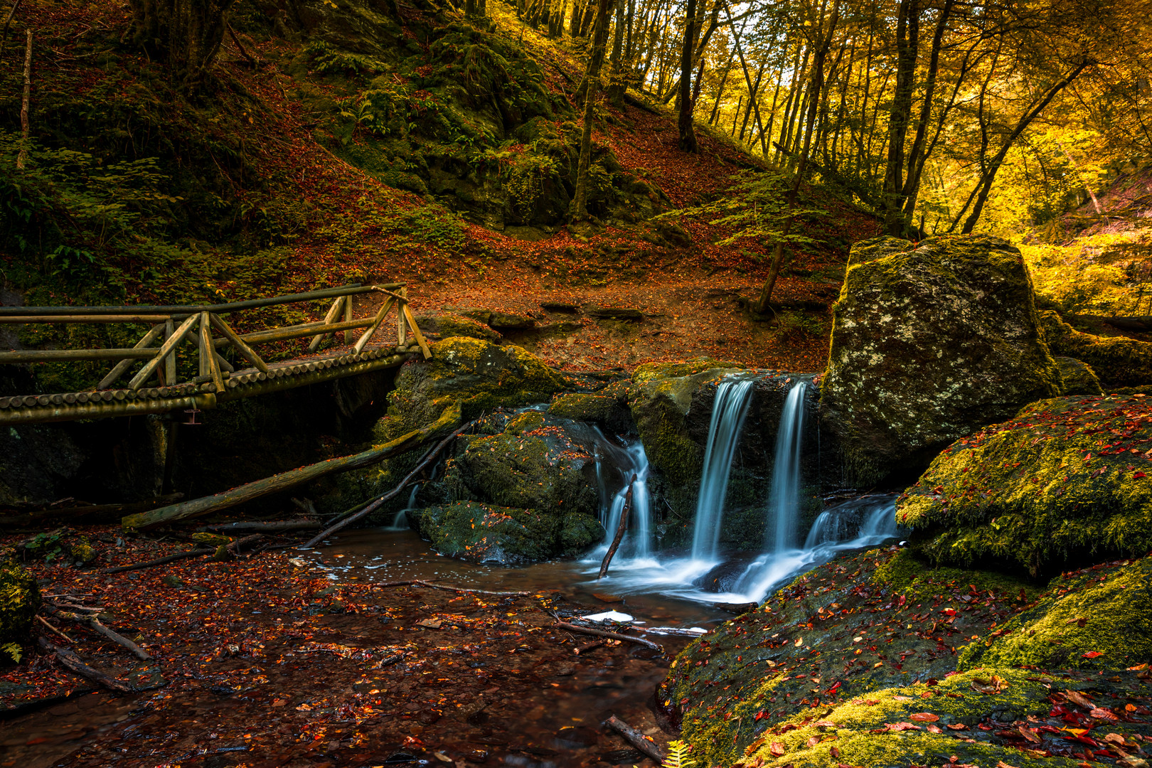 Der Herbst beginnt