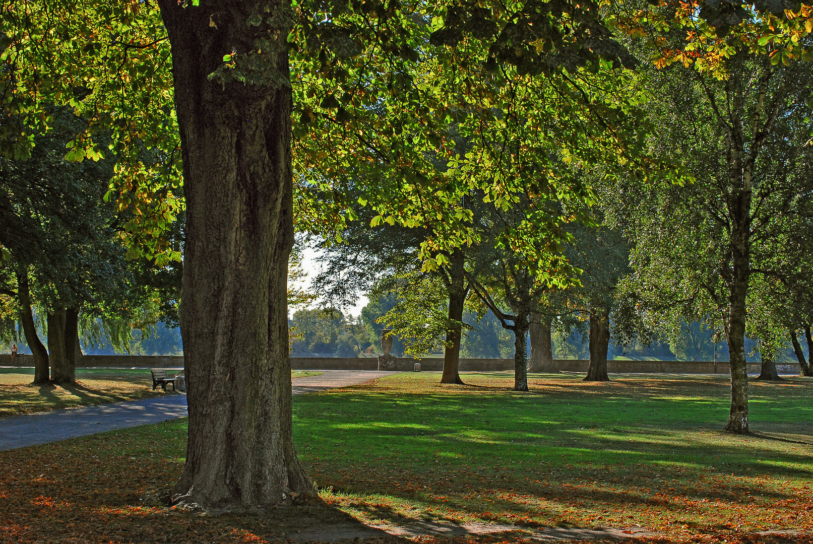 der Herbst beginnt