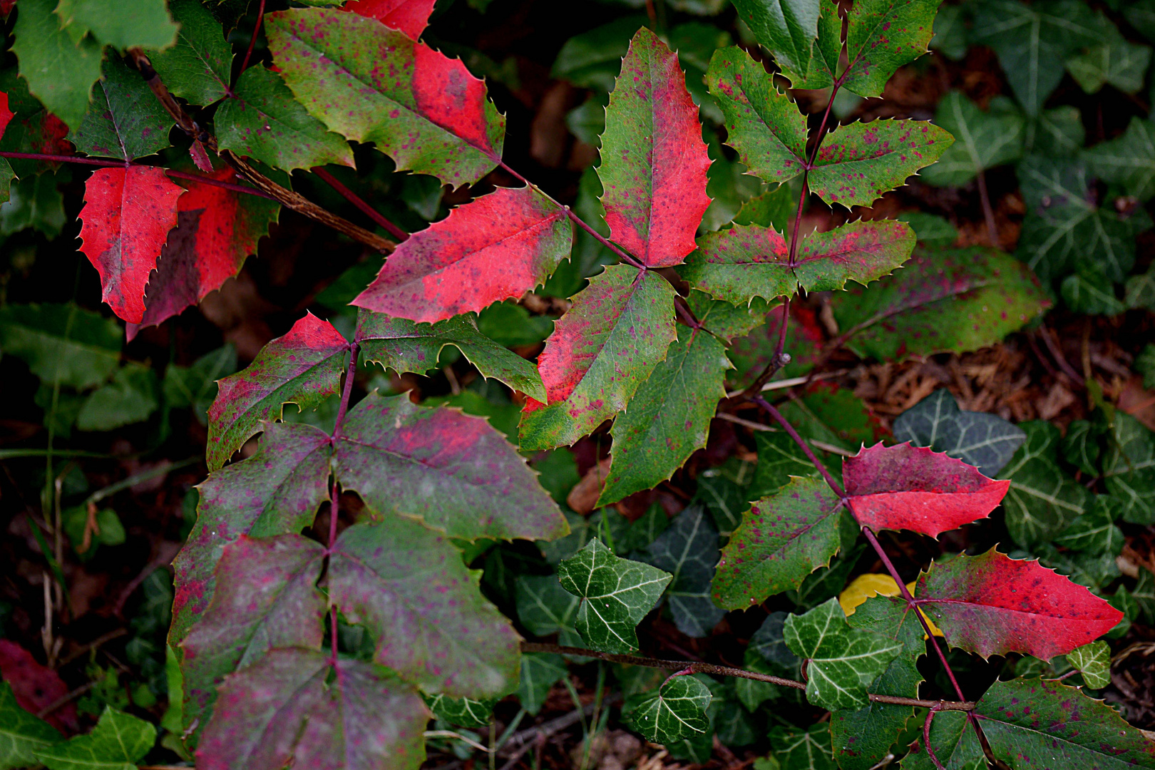 Der Herbst beginnt!